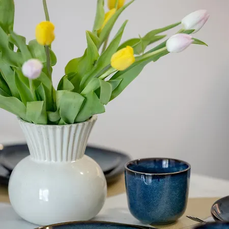 Oaza Dostepnosci D&d 公寓 Dziwnów