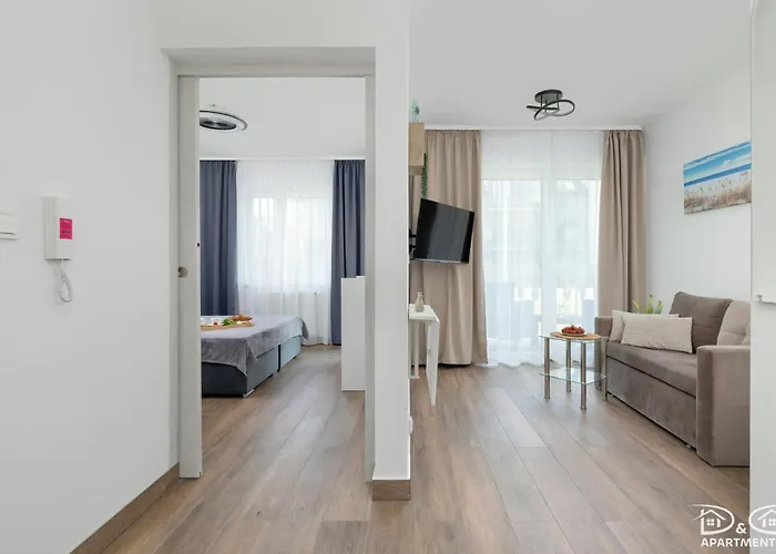 Oaza Dostepnosci D&d *