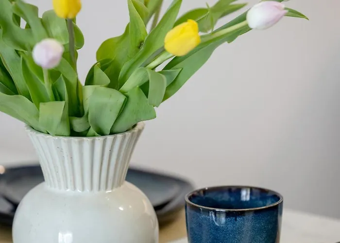 Oaza Dostepnosci D&d Lägenhet Dziwnów